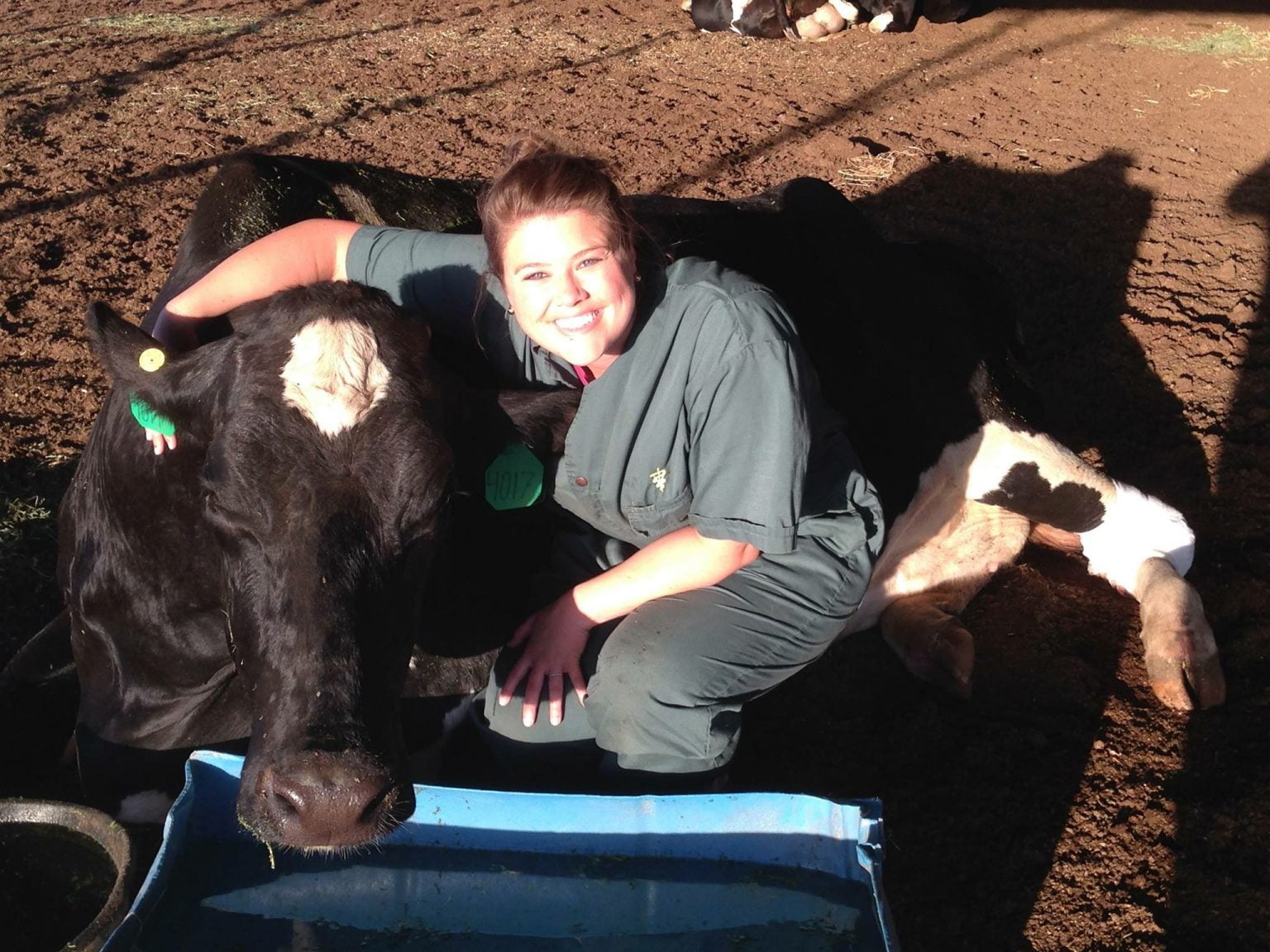 Mobile Veterinary Care Serving Fort Bragg and Surrounding Areas